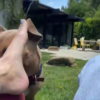Halsey feet photo thumbnail
