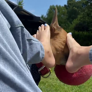 Halsey feet photo thumbnail