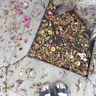 Halston Sage feet photo thumbnail