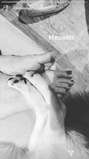 Halston Sage feet photo thumbnail