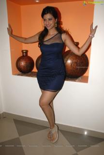 Hamsa Nandini feet photo 8