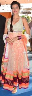 Hamsa Nandini feet photo 6
