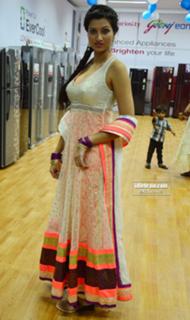Hamsa Nandini feet photo 4