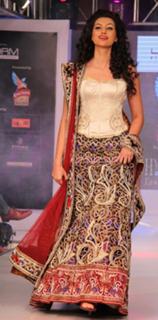 Hamsa Nandini feet photo 9