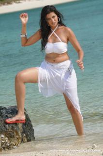 Hamsa Nandini feet photo 16