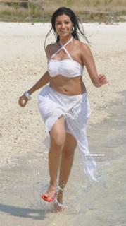 Hamsa Nandini feet photo 15