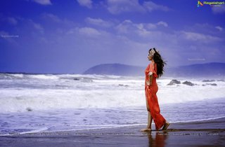Hamsa Nandini feet photo 8