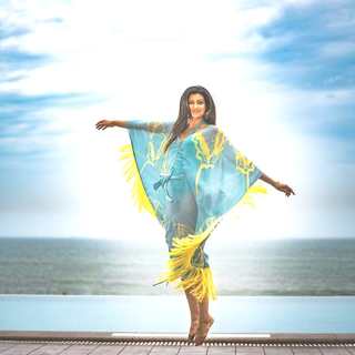 Hamsa Nandini feet photo 19