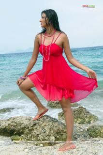Hamsa Nandini feet photo 2