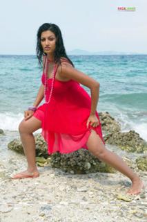Hamsa Nandini feet photo 20