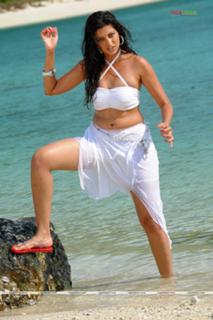 Hamsa Nandini feet photo 11