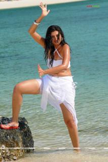 Hamsa Nandini feet photo 10