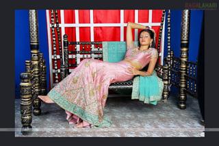 Hamsa Nandini feet photo 7