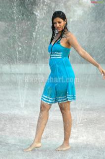 Hamsa Nandini feet photo 6