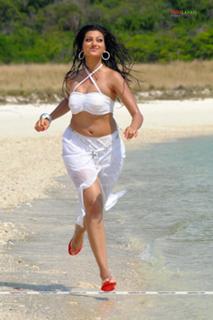 Hamsa Nandini feet photo 2