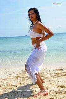 Hamsa Nandini feet photo 20