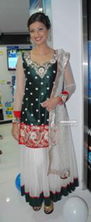Hamsa Nandini feet photo 1