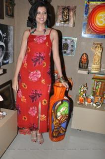 Hamsa Nandini feet photo 4