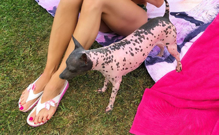 Hana Maslíková feet photo 10