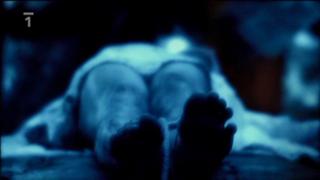 Hana Vagnerová feet photo 6