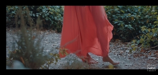 Hande Subasi feet photo 6