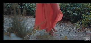 Hande Subasi feet photo 5