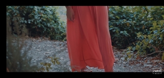 Hande Subasi feet photo 3
