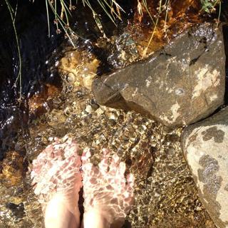 Hanie Tavassoli feet photo 8