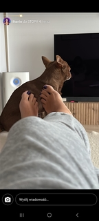 Hanna Iluszczenko feet photo 8
