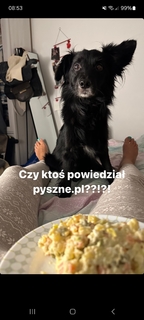 Hanna Iluszczenko feet photo 1