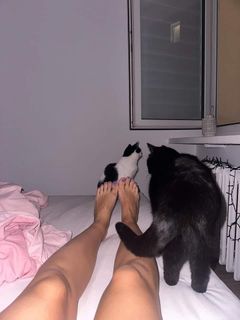 Hanna Iluszczenko feet photo 20