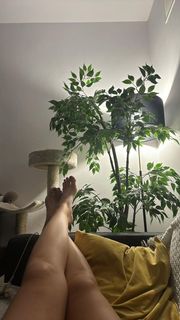 Hanna Iluszczenko feet photo 11