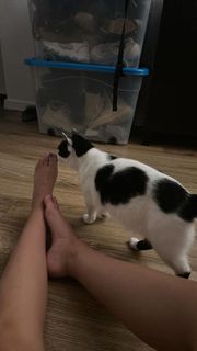 Hanna Iluszczenko feet photo 10