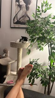 Hanna Iluszczenko feet photo 8