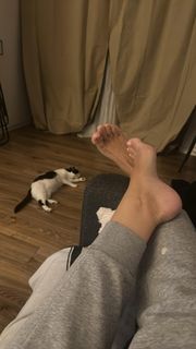 Hanna Iluszczenko feet photo 3