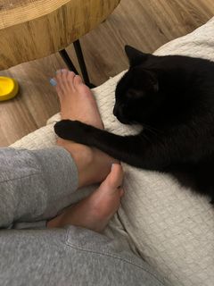 Hanna Iluszczenko feet photo 9