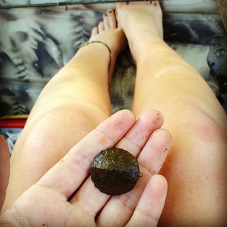 Hannah Barron feet photo thumbnail