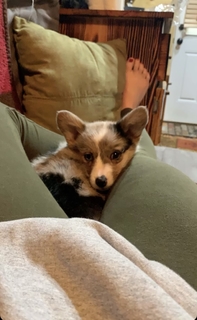 Hannah Barron feet photo thumbnail