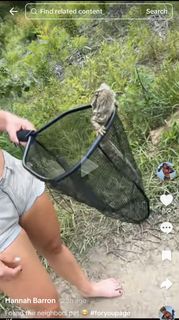 Hannah Barron feet photo thumbnail