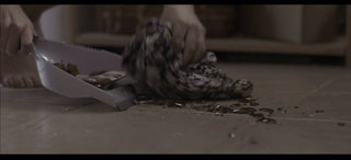 Hannah Gross feet photo 15