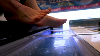 Hannah Hart feet photo thumbnail