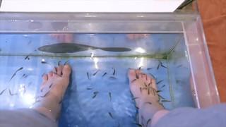 Hannah Hart feet photo thumbnail