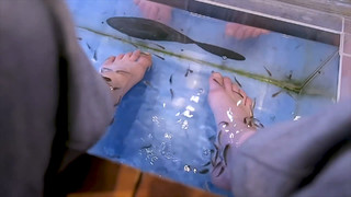 Hannah Hart feet photo thumbnail