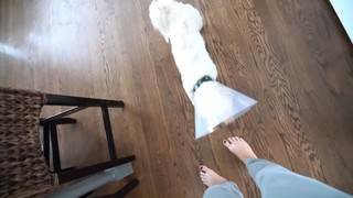 Hannah Meloche feet photo 14