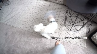 Hannah Meloche feet photo 13