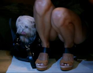 Hannah Simone feet photo thumbnail