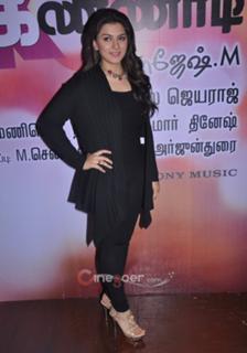 Hansika Motwani feet photo thumbnail