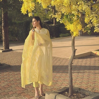 Hareem Farooq feet photo 19