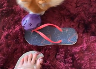 Haru Jiggly feet photo 6