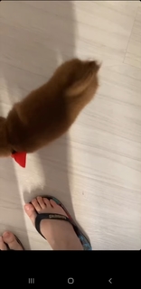 Haru Jiggly feet photo 18